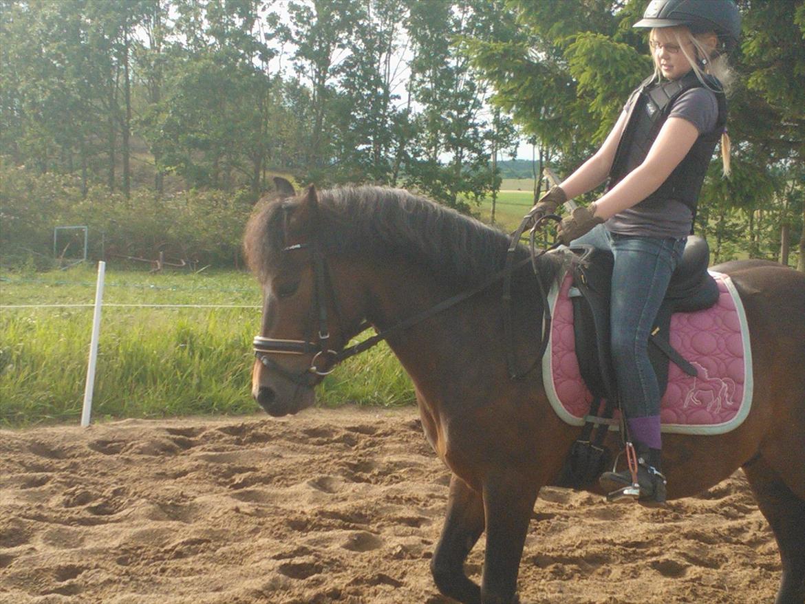 Anden særlig race Tinobello billede 7