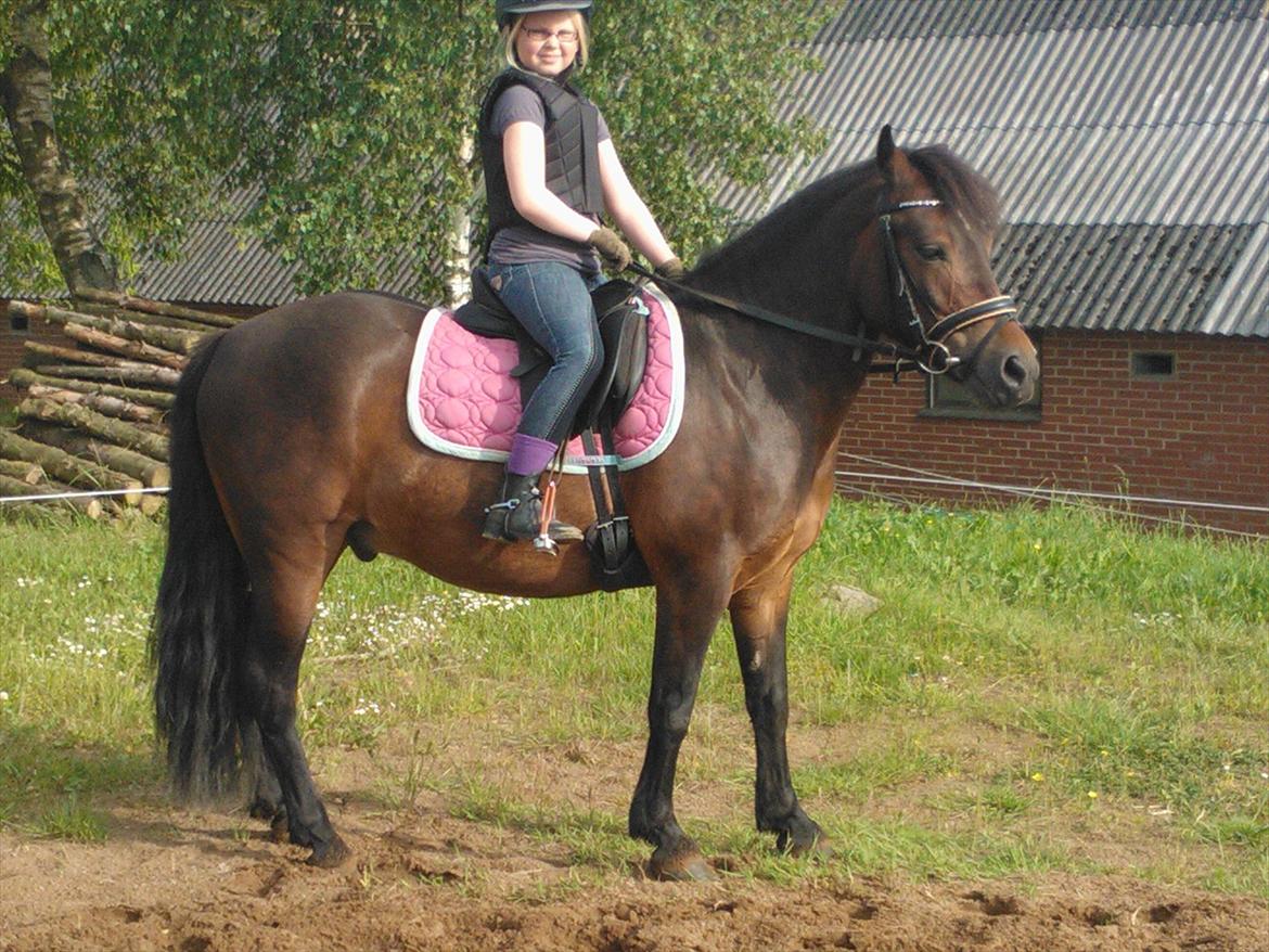 Anden særlig race Tinobello billede 9