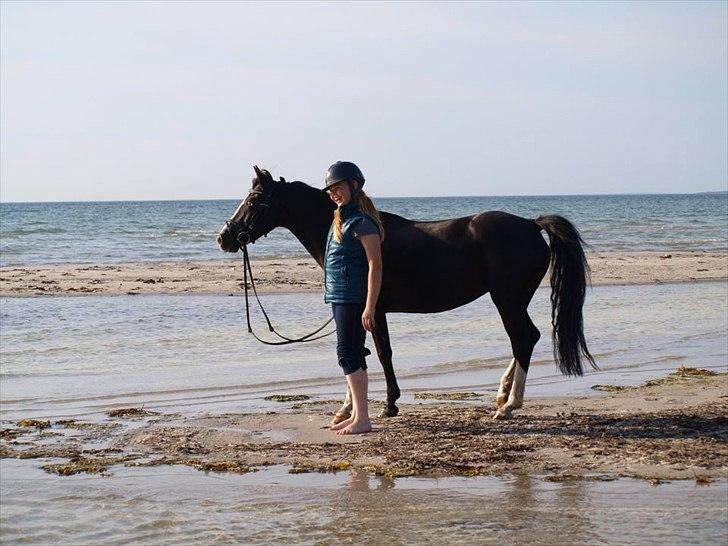 Anden særlig race Blue Eye´D Girl - A pony SOLGT! - 10. Mig og prinsessen, står fotomodeller for Annika <3.

Foto: Annika Løvmose Holm. billede 10