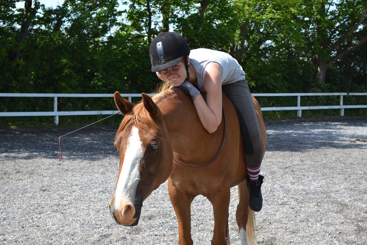 Anden særlig race Aichah - 8 juni 2012 - Da vi skulle filmes til Mia Nielsens dokumentarfilm :D billede 1