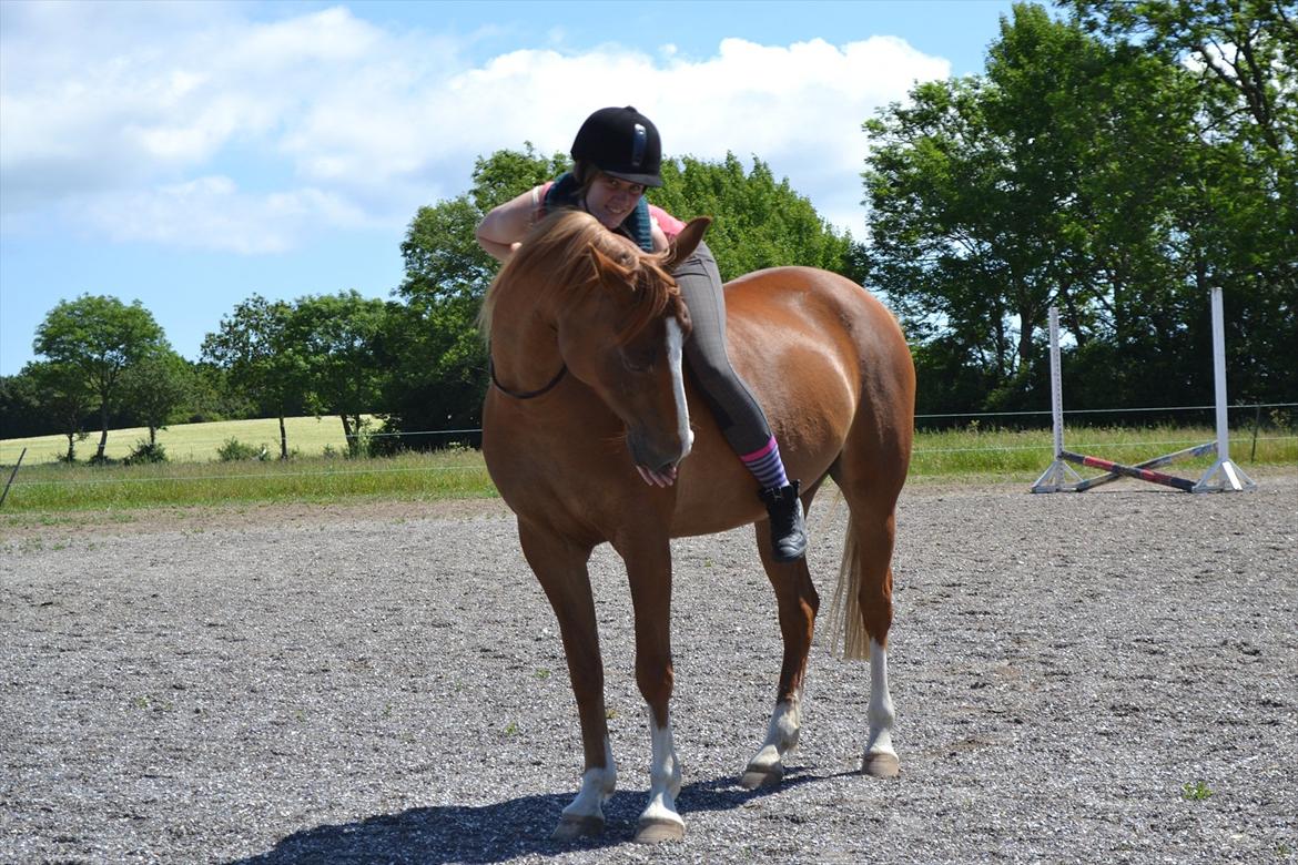 Anden særlig race Aichah - 11 Juni 2012 - Sidste dag med Aichah! billede 3
