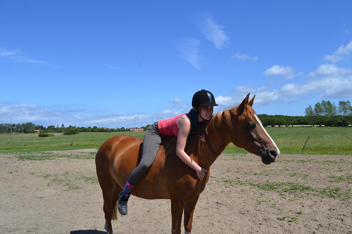 Anden særlig race Aichah - 11 Juni 2012 - Sidste dag med Aichah! billede 13