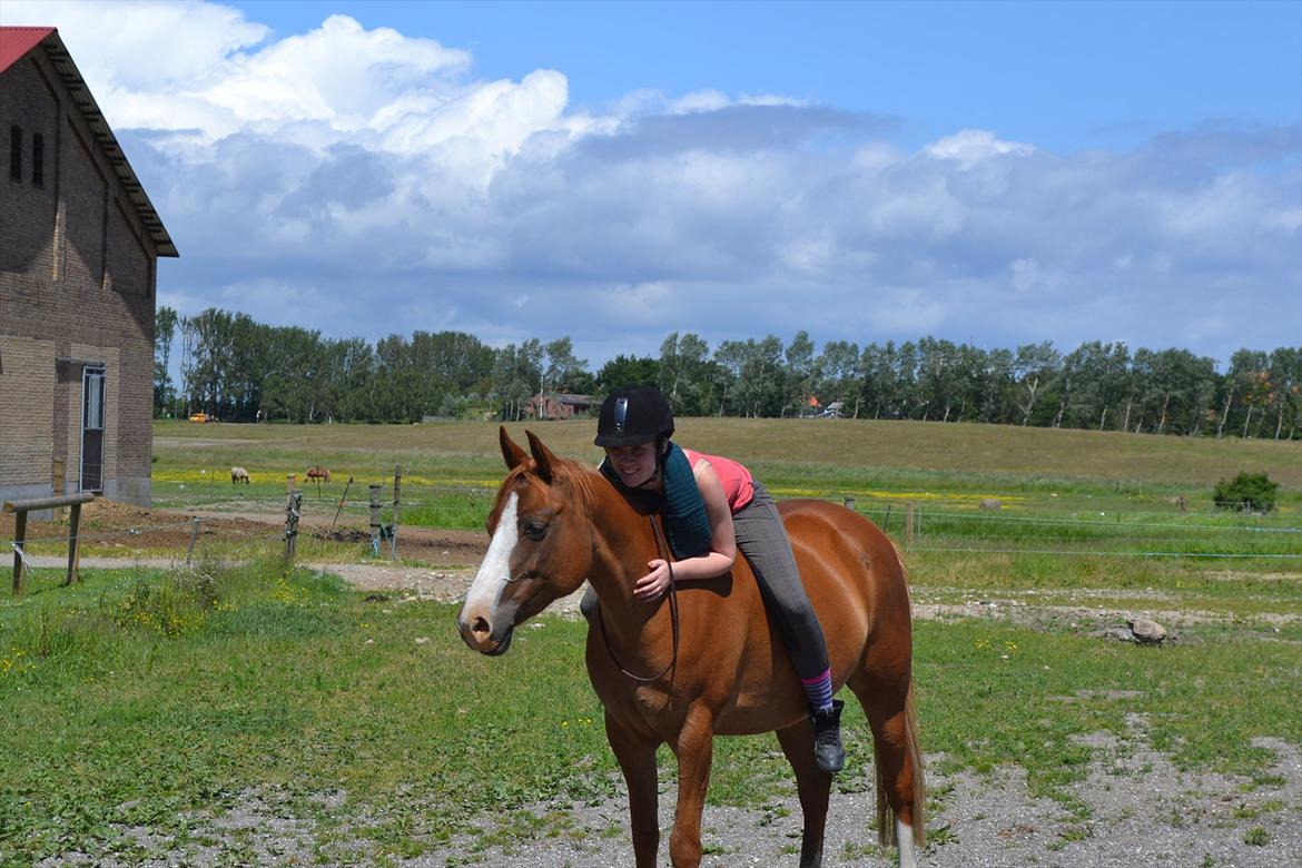 Anden særlig race Aichah - 11 Juni 2012 - Sidste dag med Aichah! billede 11