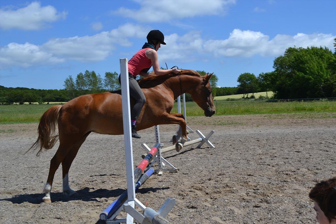 Anden særlig race Aichah - 11 Juni 2012 - Sidste dag med Aichah! billede 16
