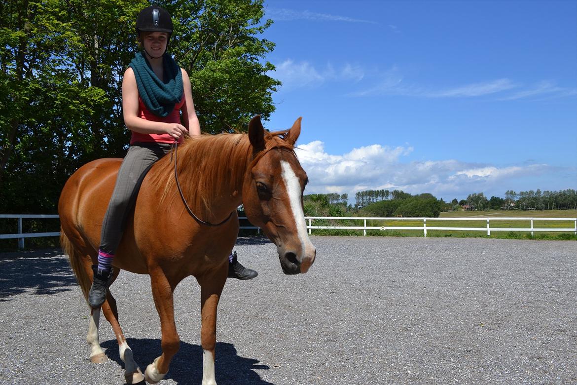 Anden særlig race Aichah - 11 Juni 2012 - Sidste dag med Aichah! billede 18