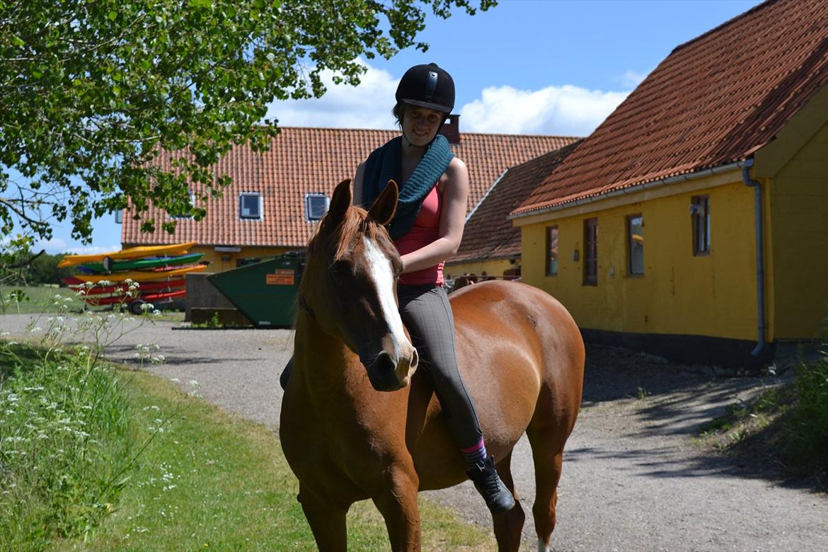 Anden særlig race Aichah - Let us die young or let us live forever!
Forever Young<3

11 Juni 2012 - Sidste dag med Aichah! billede 20