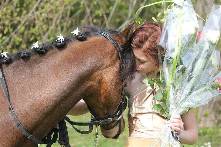 DSP Festina`s Satanta A-pony - Ægte kærlighed<3 
En pony som er mere end bare min hest... En ven man kan stole på! En som lytter til mig, En som betyder ALT!!! En jeg ikke kan undvære. Poul du har en stor plads i mit hjerte <3 ved ikke hvad jeg skulle gøre uden diig <3 <3 <3  billede 11