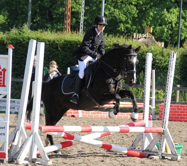 DSP Toftekildes miss Nelly - Velkommen til Nellys profil! :D

Vores første springstævne, 60 cm, juni 2012 :)

Foto: JF Photography billede 2