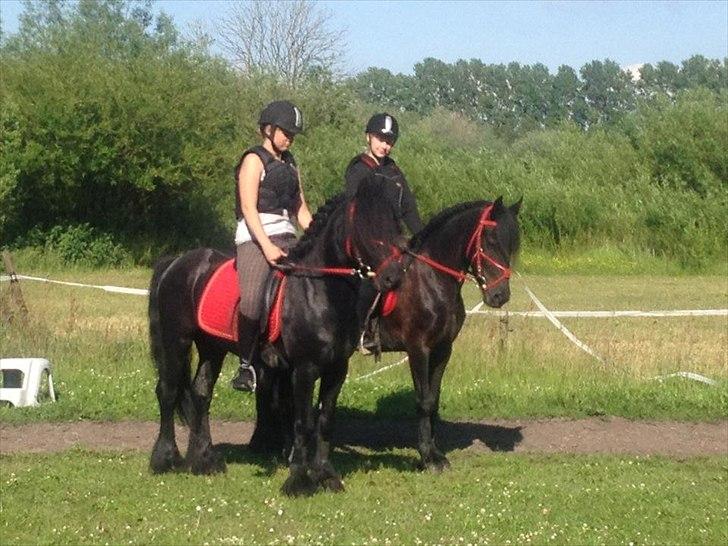 Fell pony Bakkely's Bella *Prinsessen* SOLGT:'( - Sara og Lasse og Mig og Bella d. 11/6-2012 springtime. Vi sprang 70 cm i Okser!! Er så stolt af min prinsesse<3<3
Team rød!<3 billede 1