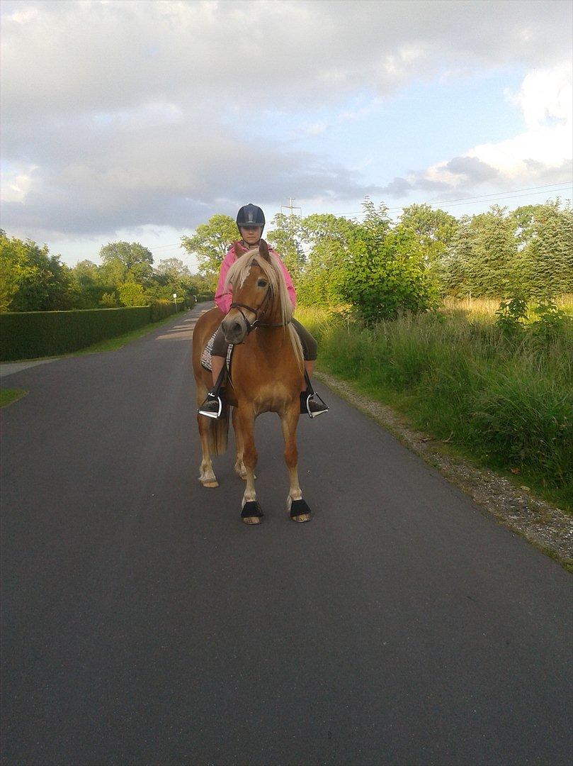Haflinger Angelica Møllehøjgård - velkommen til Angelica´s profil :)

på tur <3

foto rikke n med min mobil <3 billede 1