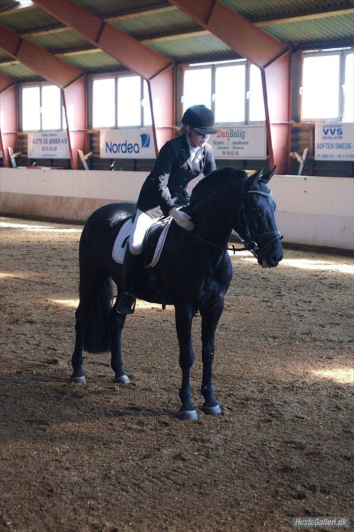 Anden særlig race Medomgårds Malle (Pensioneret) billede 13