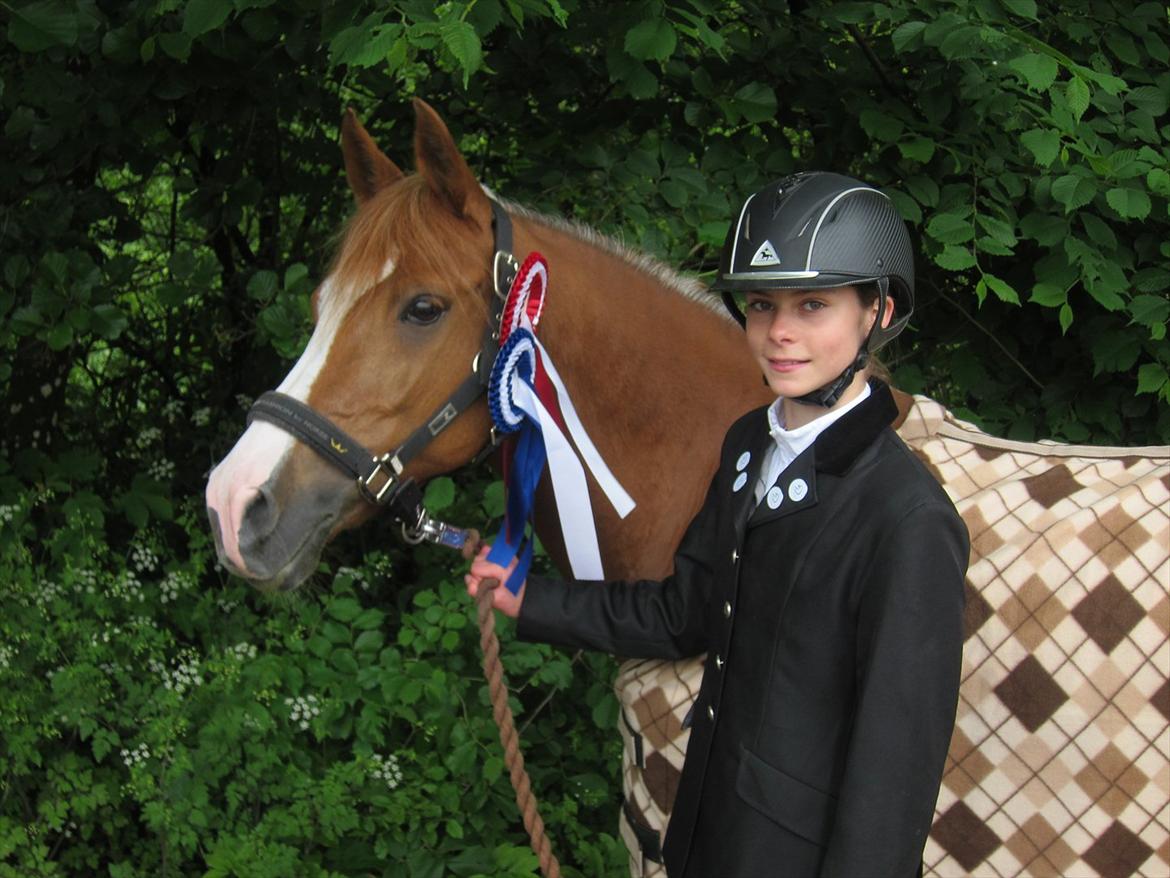 Anden særlig race Trille  - Fik 2.plads i LB og 1.plads i LB  klubmester.<3 på MRR Min lille springstjerne billede 4