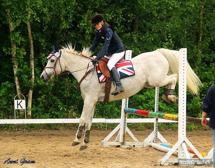 Anden særlig race | Silas <3. - Be strong now, because things will be better! It might be stormy right now, but it can't rain forever.  | Foto: Anni Gram. billede 9