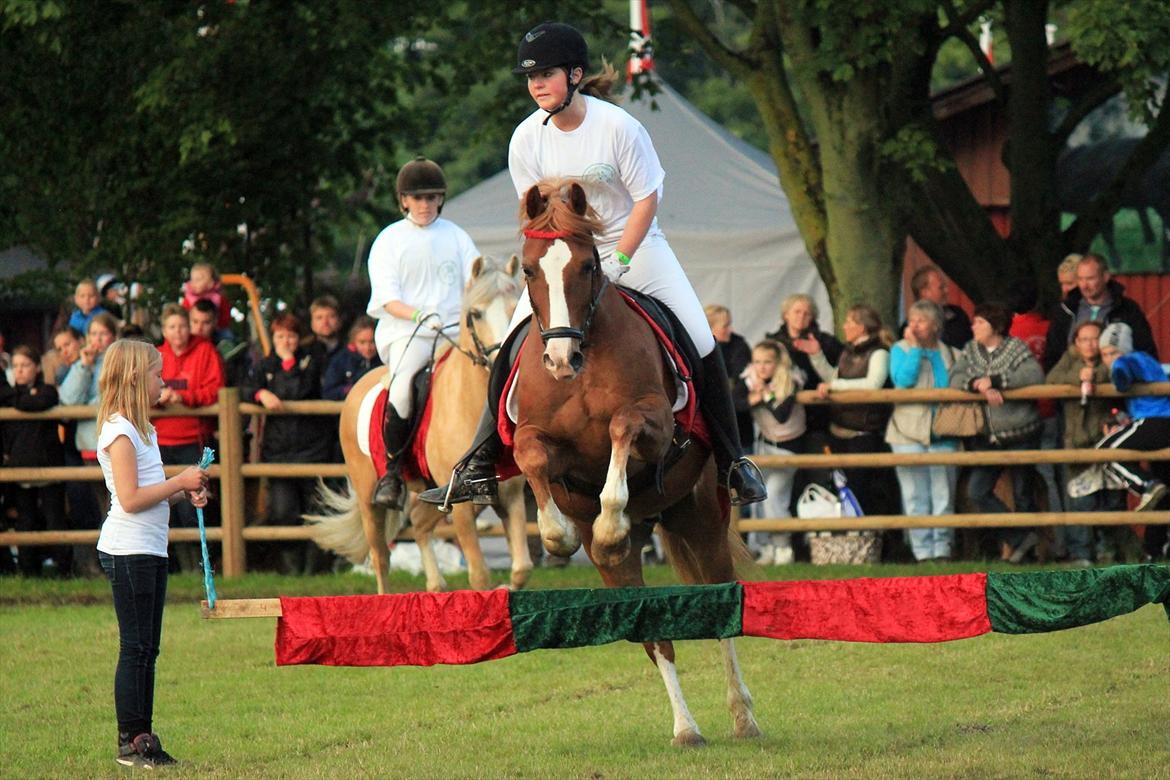 Welsh Cob (sec D) Dorthealyst Moonraker (L) - b-pony - Moonie & jeg på Roskilde dyrskue 2012. <3 Foto: Laura Bogut billede 3