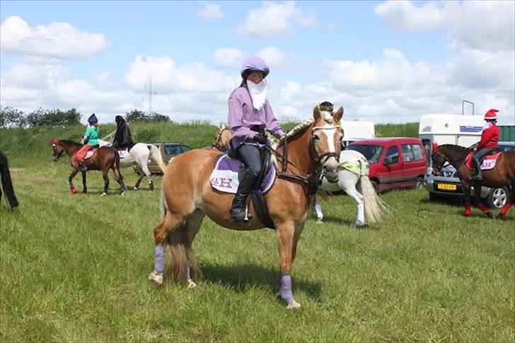 Haflinger Kim Van de mini Hoeve - Kvadrille 2012 - Flovmand (Snehvide og de 7 små dværge) Hjallerup Marked
 billede 18