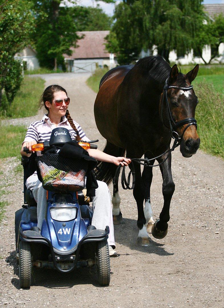 Anden særlig race After Eight´s Chanel / Mutte - 12. Juni 2012 - På en lille tur, Chanel, Gurli og jeg :) billede 15