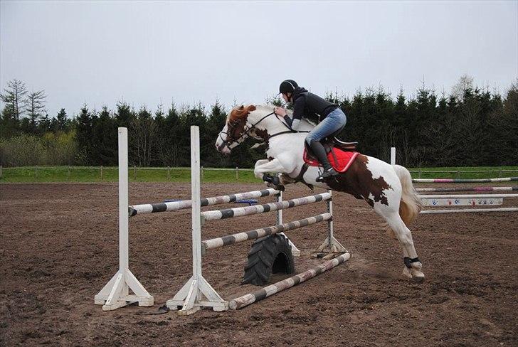 Anden særlig race Golden Atlas - Dolle og Uffe :) <3 Foto: Mig billede 16