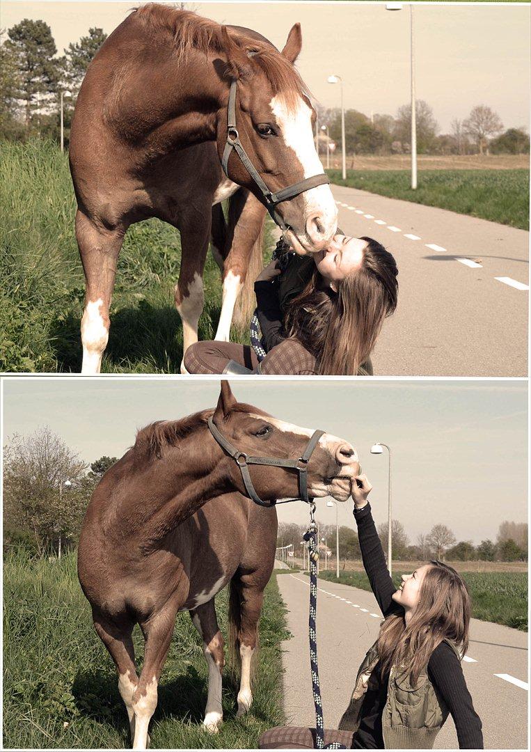 Anden særlig race Fønix R.I.P Minskat <3 billede 15