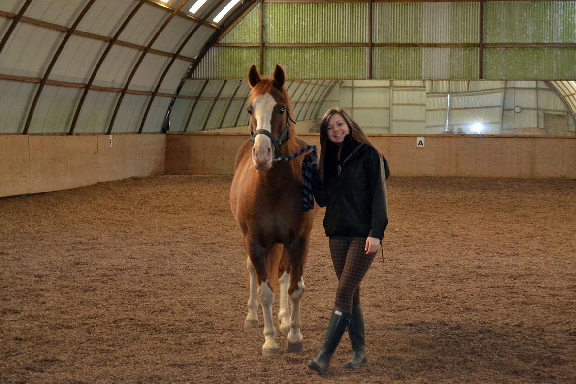 Anden særlig race Fønix R.I.P Minskat <3 billede 18