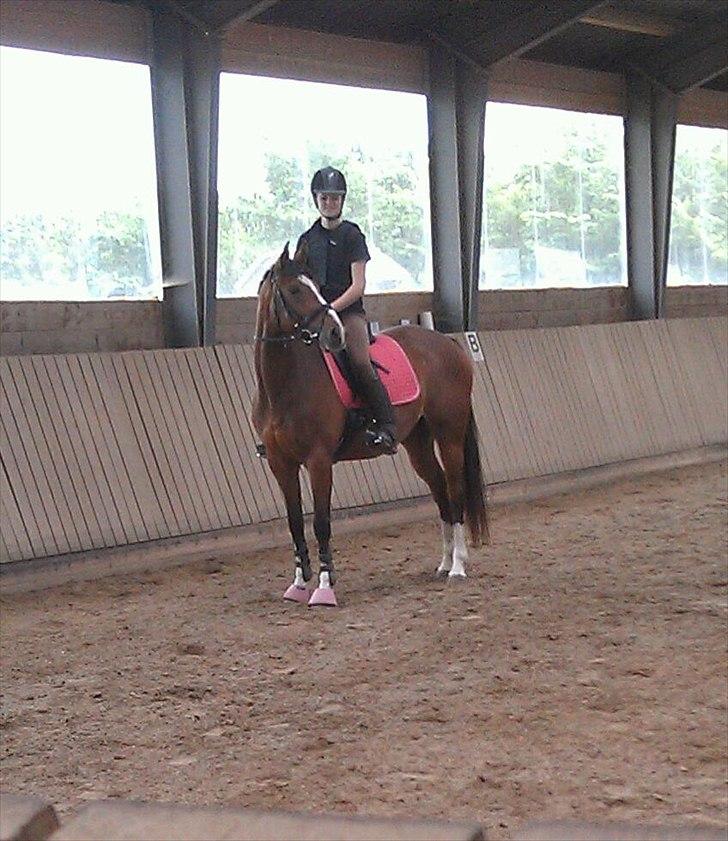 Fuldblod (XX) Rock The Socks - Prinsessen og mig :o) JUNI 2012 *Foto: min søster* billede 12