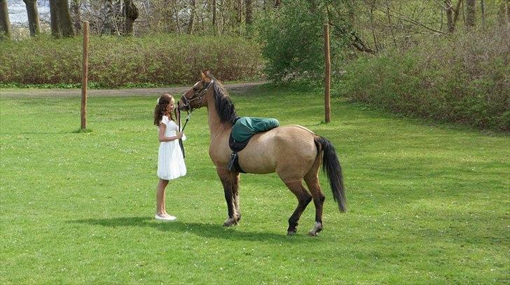 Anden særlig race | Luna   [Min bedsteven] - © Luna kom på min konfirmation, det betød så meget for mig! Søndag den 29 April 2012 <3 
Fotograf - Min bror / Forår 2012 billede 8