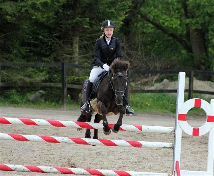 Anden særlig race Malou - La* Debut :D Foto: Simone S billede 15