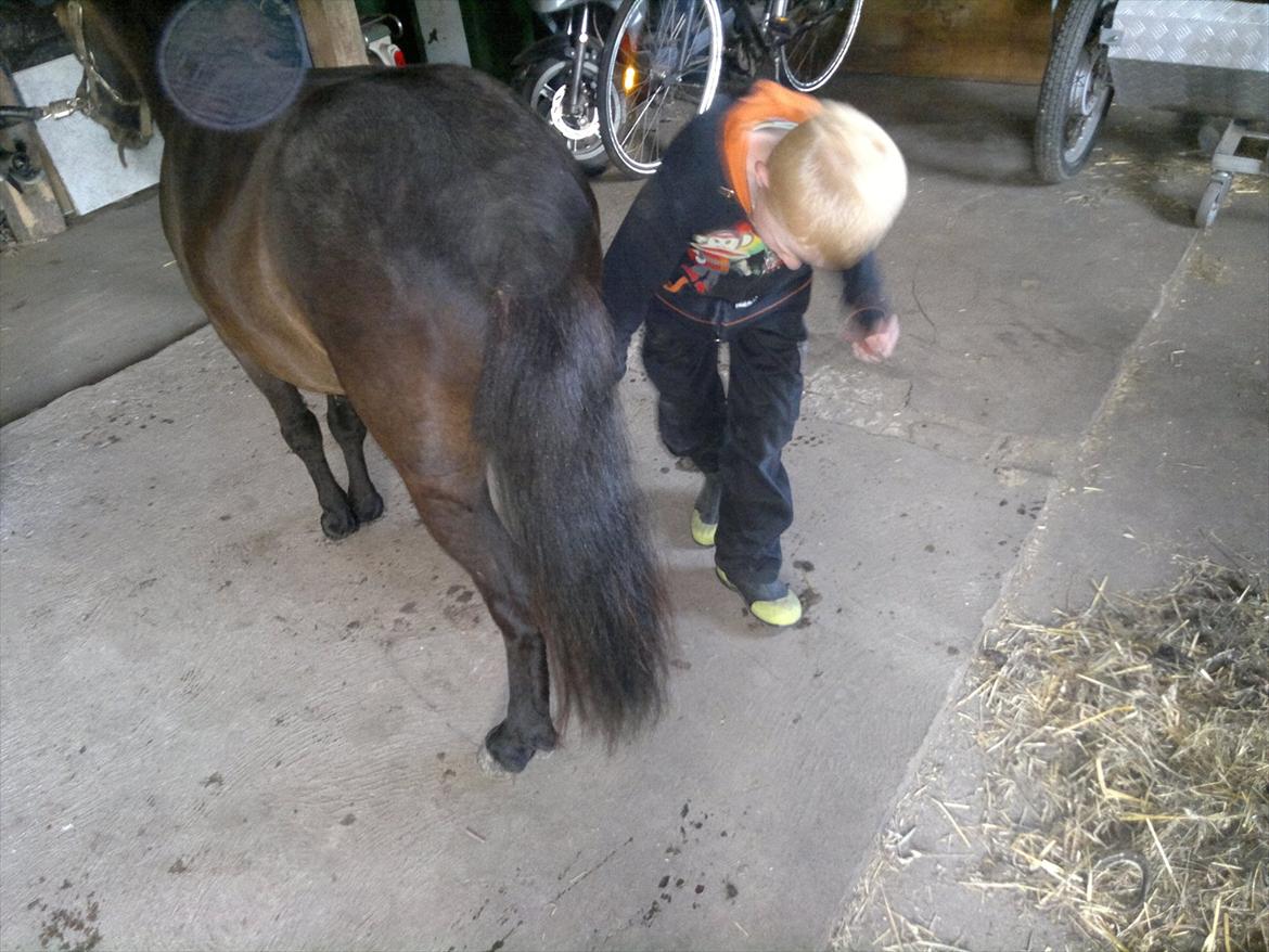 Anden særlig race Frøken Smilla - d.12/6-12 billede 17