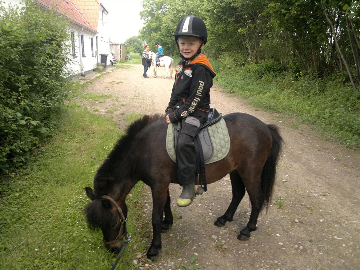 Anden særlig race Frøken Smilla - Hej jeg hedder Smilla :-)
Ham på ryggen er min ejer Oliver :-)
Og det er første gang jeg har sadle og rytter på ryggen :-)
Vi er bare seje sammen :-) billede 1