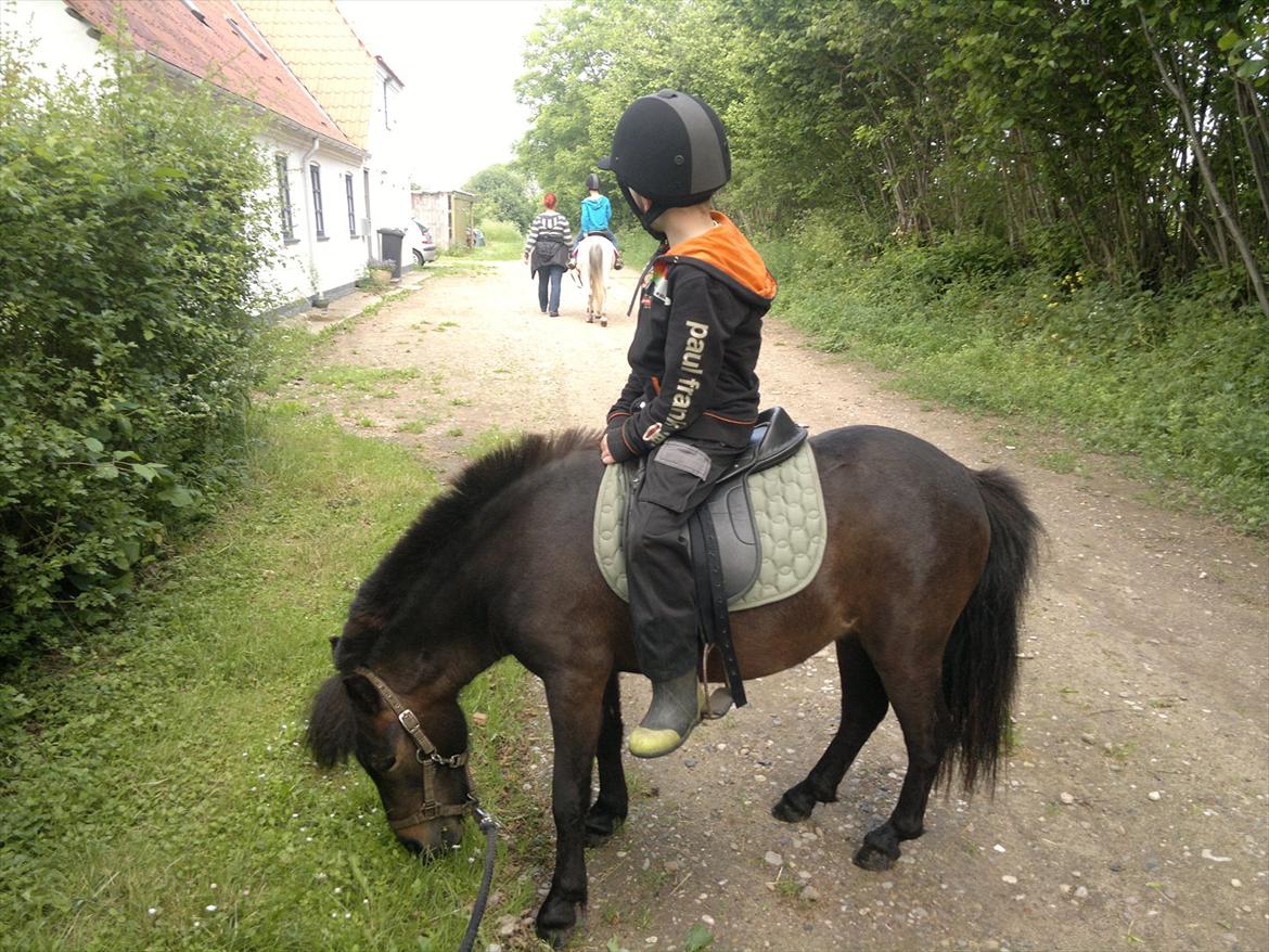 Anden særlig race Frøken Smilla - d.12/6-12 billede 2