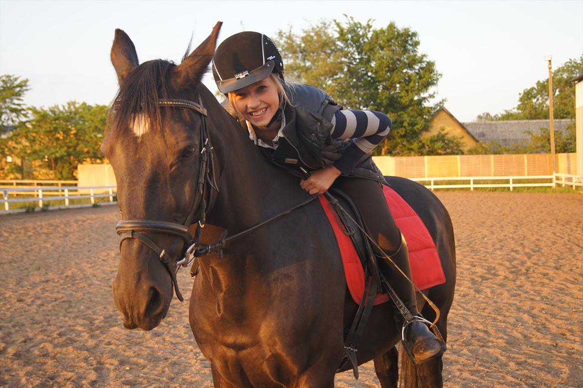 Welsh Cob (sec D) Dark Shadow <3 - en af de første gange efter skaden <3 billede 3