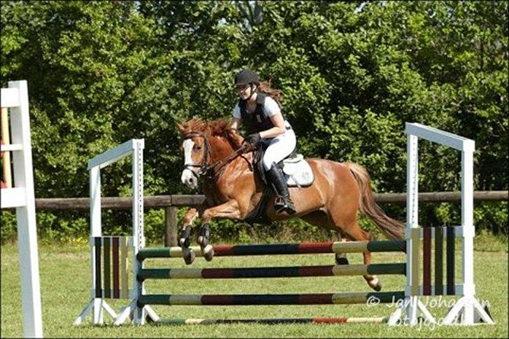 DSP Fie Engholm. - LB pony søndertoft 2012 :-)  billede 12