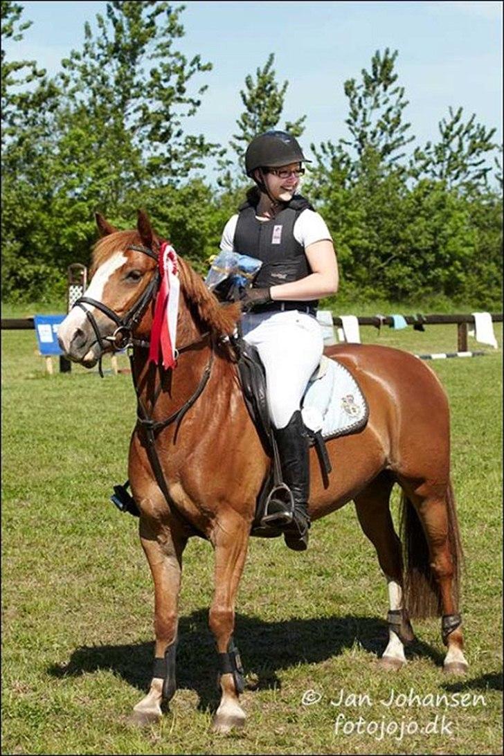 DSP Fie Engholm. - vinder af LB pony søndertoft 2012 :-)  billede 13