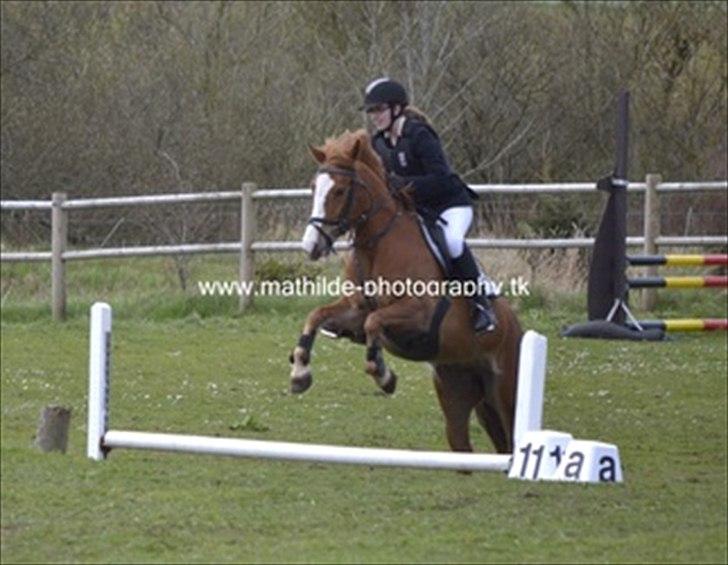 DSP Fie Engholm. - Ørnhøj spring derby 2012 :-)  billede 14