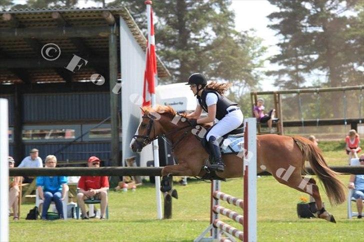 DSP Fie Engholm. - Søndertoft 2012 :-)  billede 15