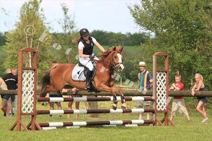 DSP Fie Engholm. - Spring derby LB 2012 :-) 4. plads.  billede 16