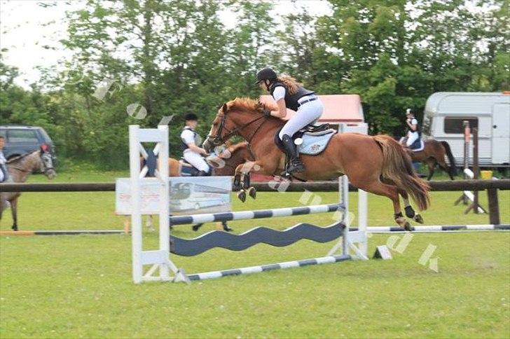 DSP Fie Engholm. - Spring derby :-)  billede 17