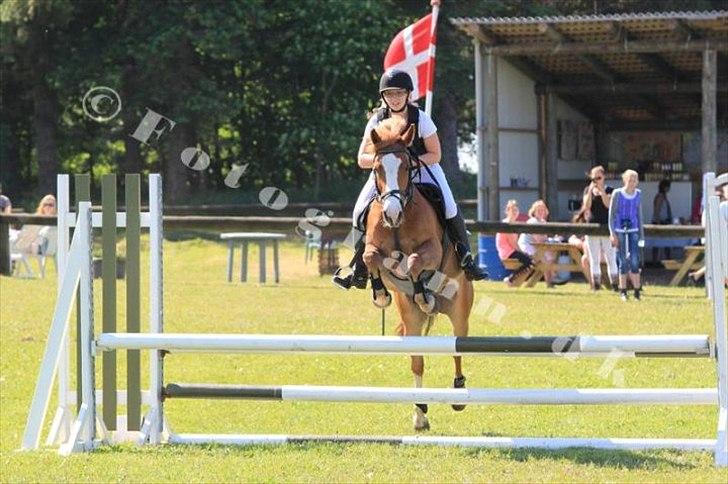 DSP Fie Engholm. - LB pony 1.plads :-)  billede 18
