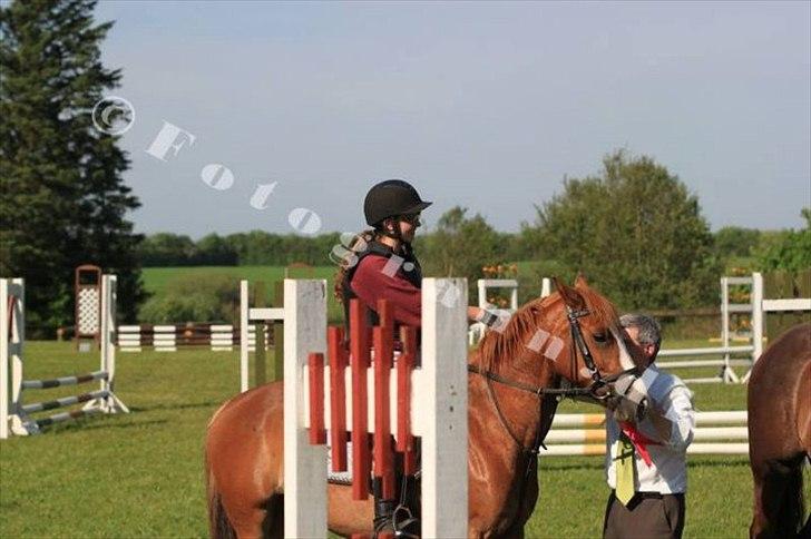 DSP Fie Engholm. - Vinder af kval. til dm stafet for hold :-)  billede 19