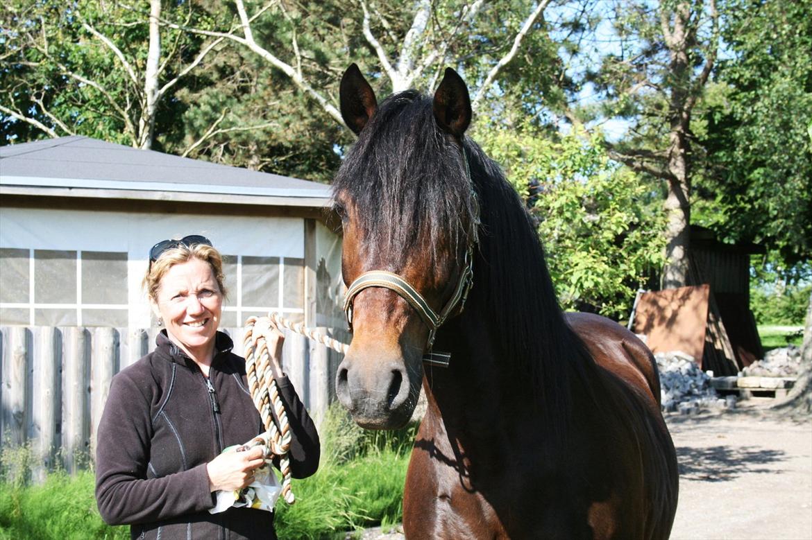 New Forest Pan (Panse Mandse) - Mor med Pan på hans 17 års fødselsdag den 11.6.12 billede 19