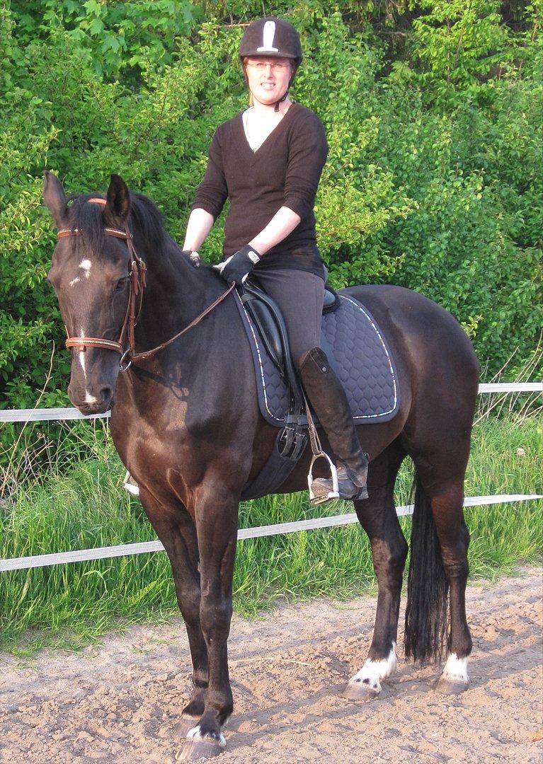 Anden særlig race Mowgli - Her er det min søster der rider. 
han er super sjovt at ride dressur på da han lystre det mindste vink... billede 2
