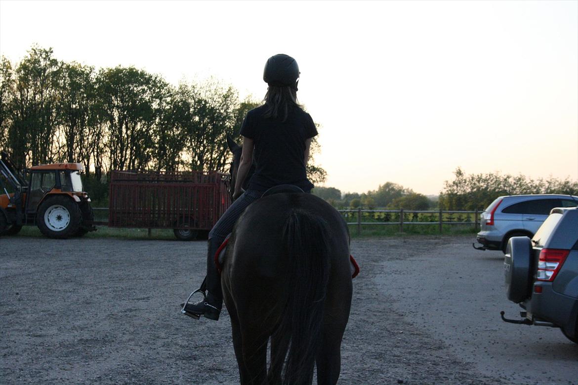 Holstener Iris Von Harknag - Når enden er god er alting godt. billede 9