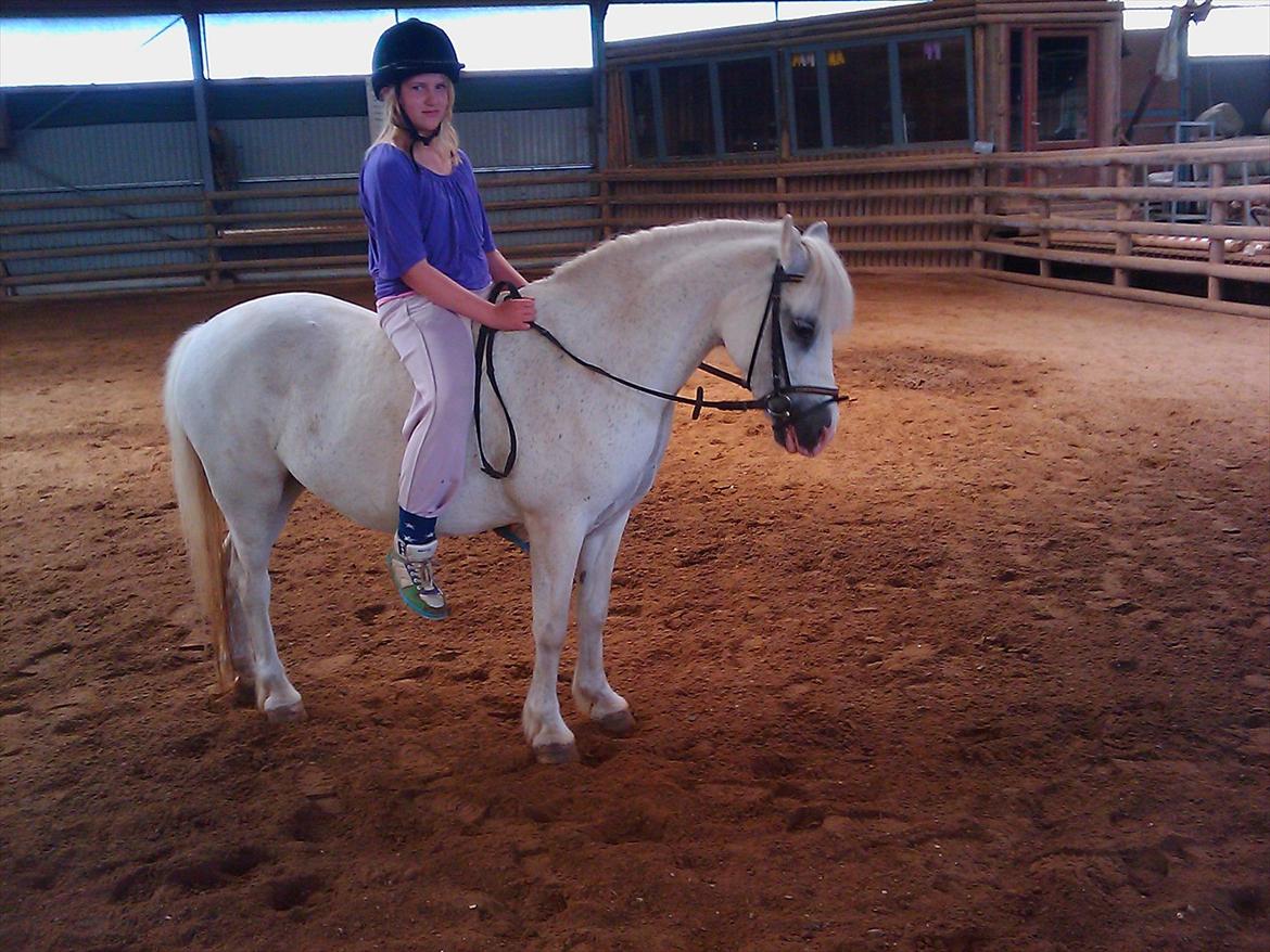 Anden særlig race Bella <3 Hvil i fred  <3 - lidt balance træning uden sadel

12.06.12 billede 7