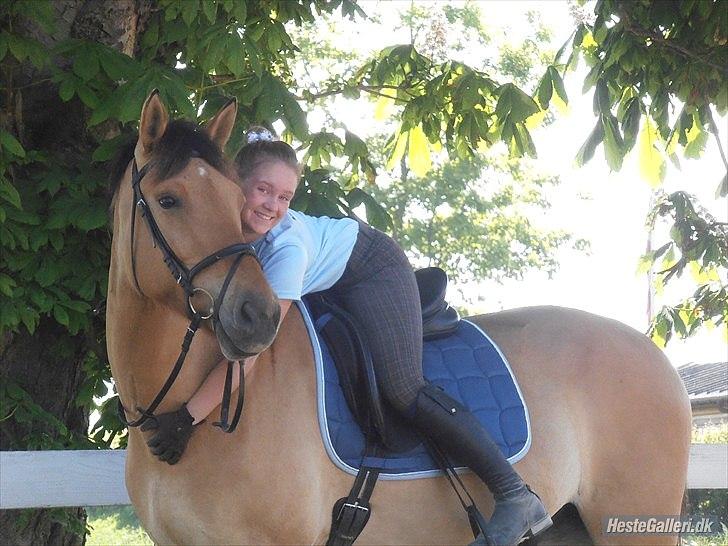 Anden særlig race Golden Guy *AKA Sune* billede 3