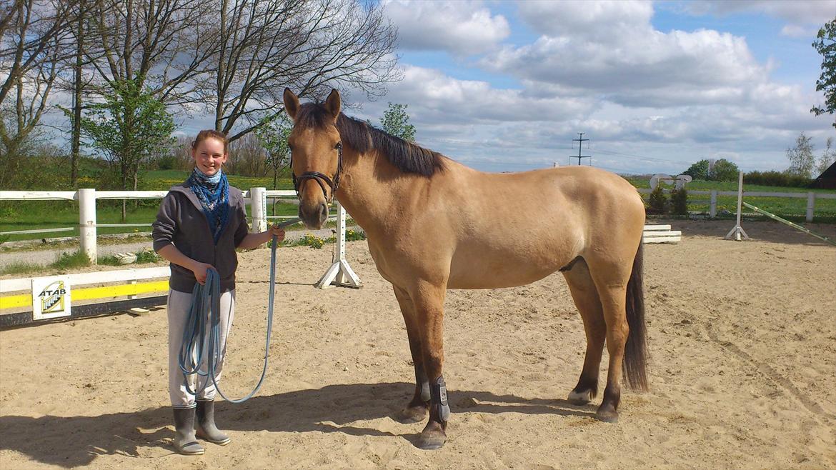 Anden særlig race Golden Guy *AKA Sune* billede 15