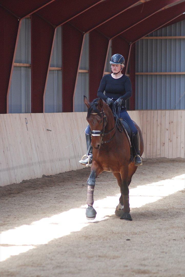 Oldenborg Fleur (Olga) - træning i maj 2012! øvelse til MB!  billede 6