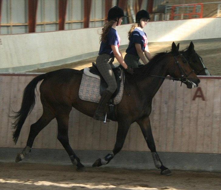 Traver Fit for fight<3 - det var da jeg lige var startet part <3 <3 billede 4