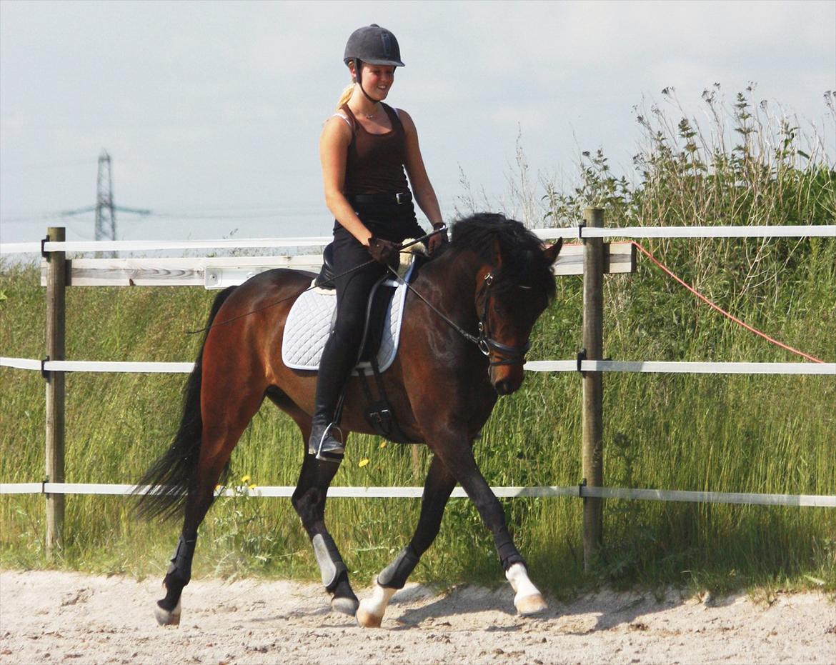 DSP | Vasehøjs Kasira | - 12 juni 2012, dressur træning billede 15