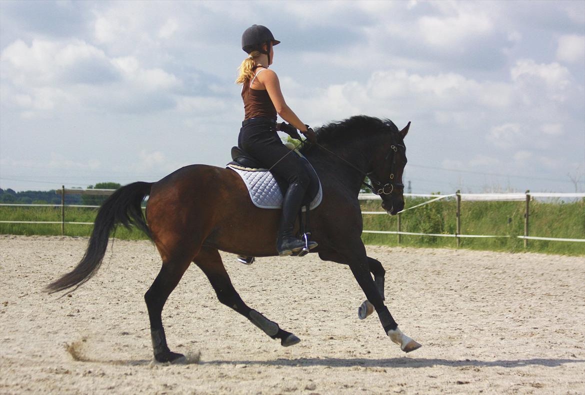 DSP | Vasehøjs Kasira | - 12 juni 2012, galop galop billede 17