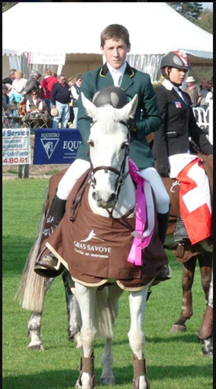 Irsk Sportspony Broad Way - A Pony billede 11