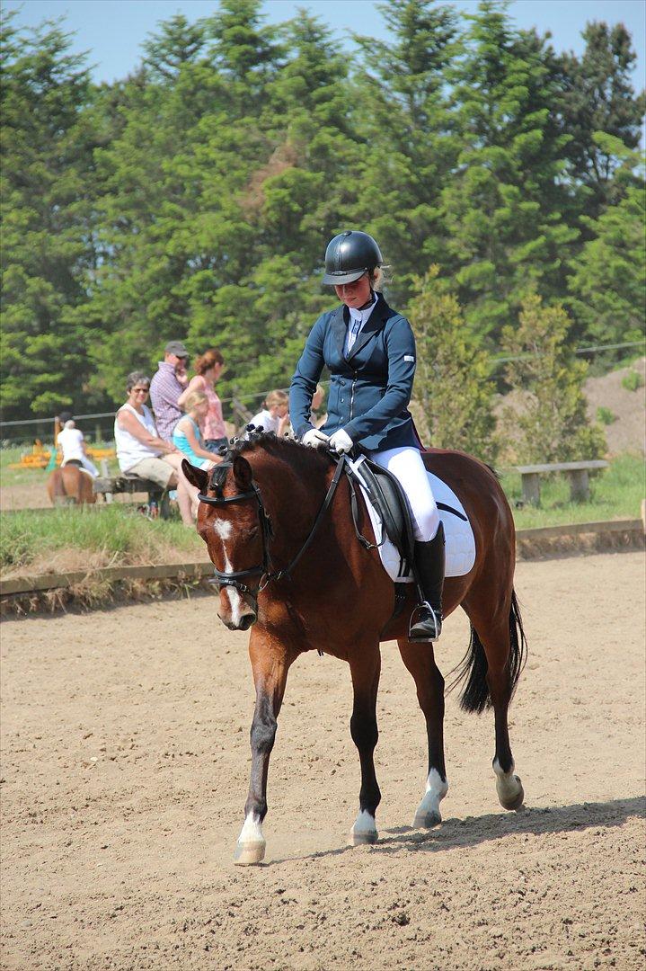 Anden særlig race Stormarksgaards Speedy - Det var mega varmt billede 12